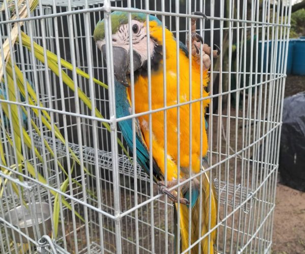 IMG-20240819-WA0000